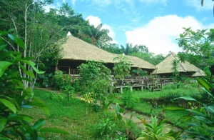 Parque Nacional Amacayacu-Amazonas Colombia