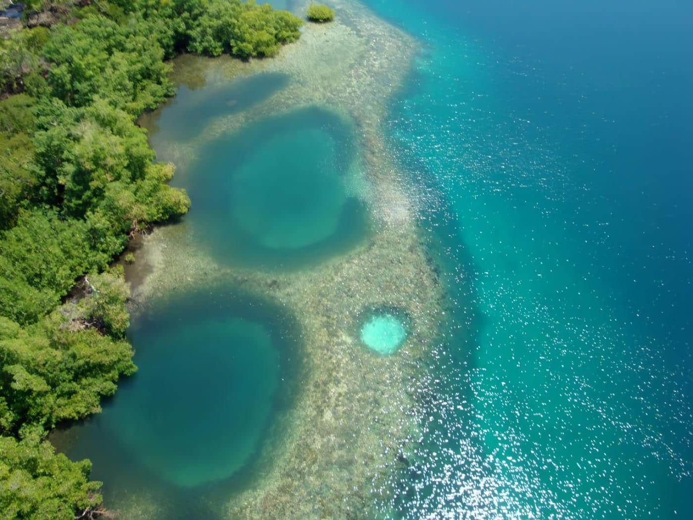 Turismo en Bocas del Toro: Destino tropical en el caribe Panamá