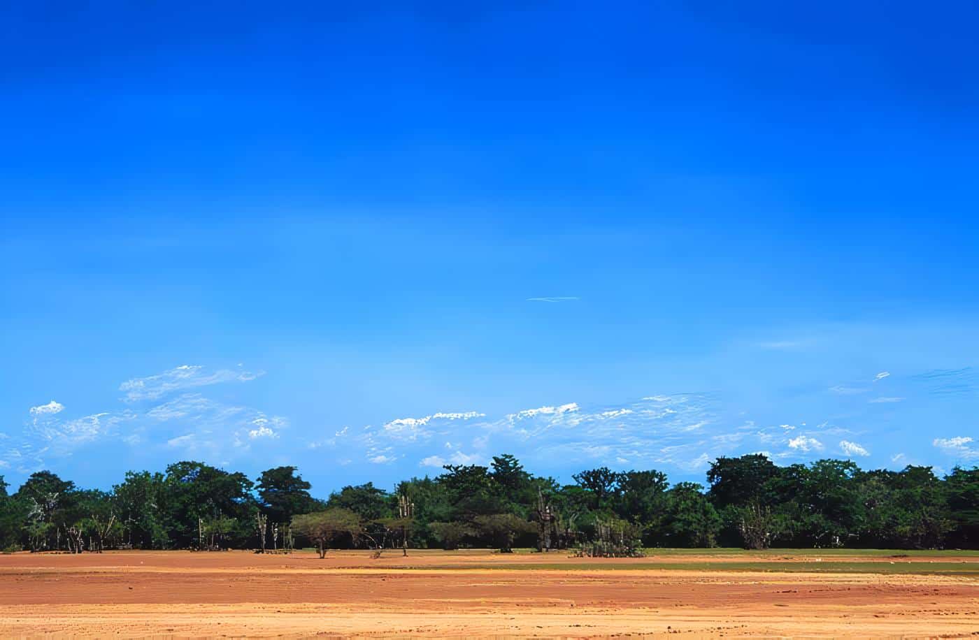 Turismo en Bosconia