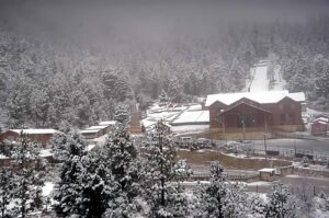 Bosques de Monterreal Coahuila Mexico