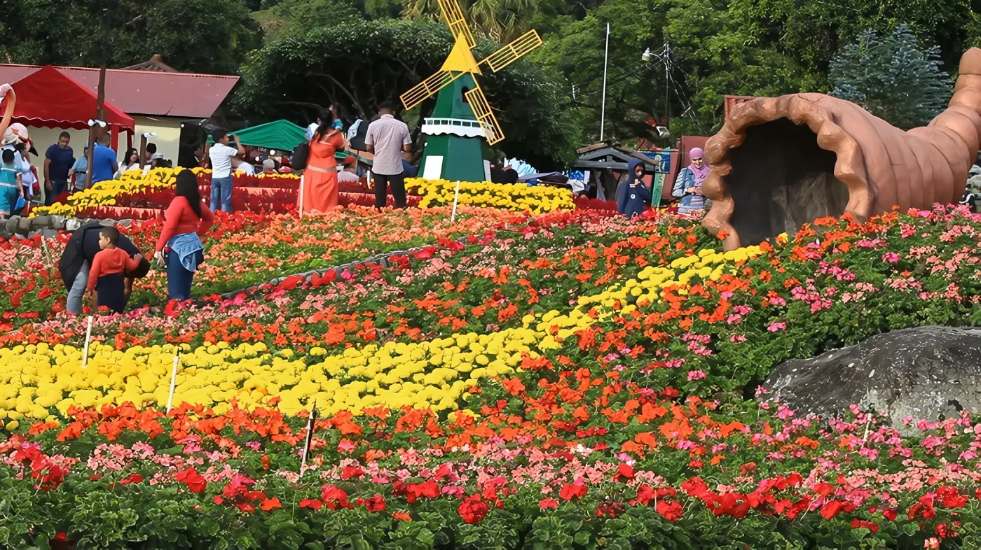 Chiriqui Panamá