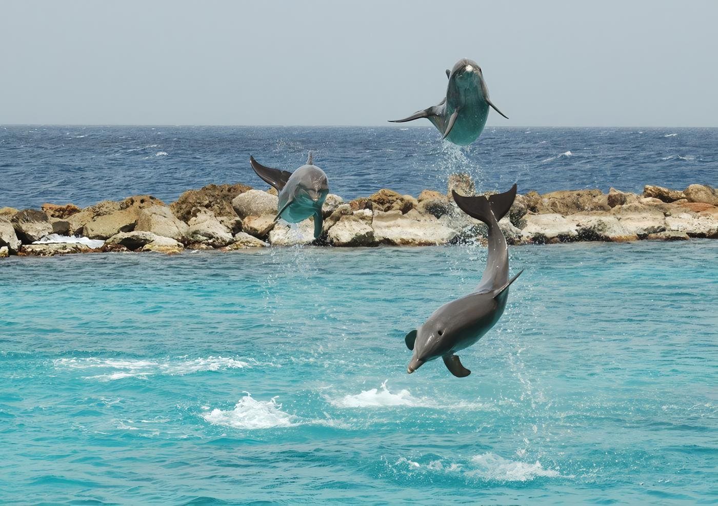 Turismo en Curacao