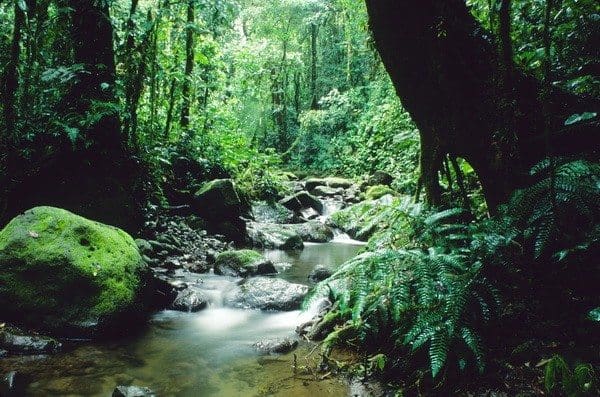 Provincia del Darién en Panamá