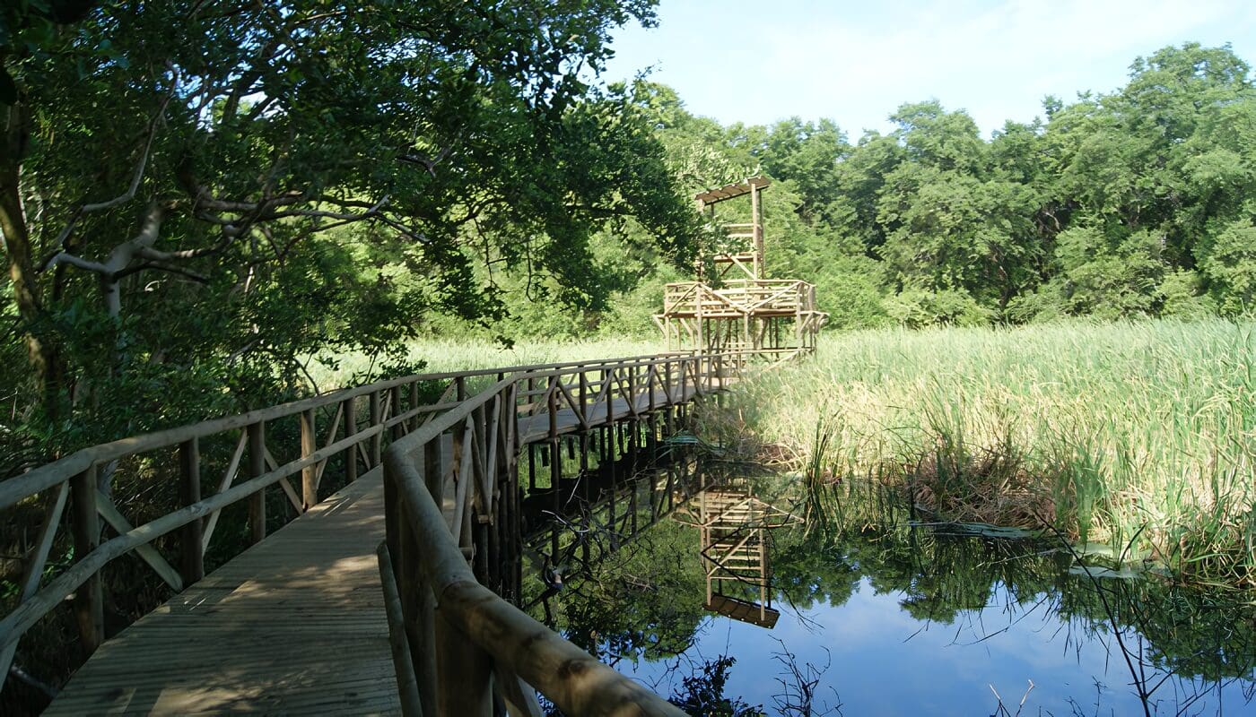 Isla de Salamanca, Magdalena