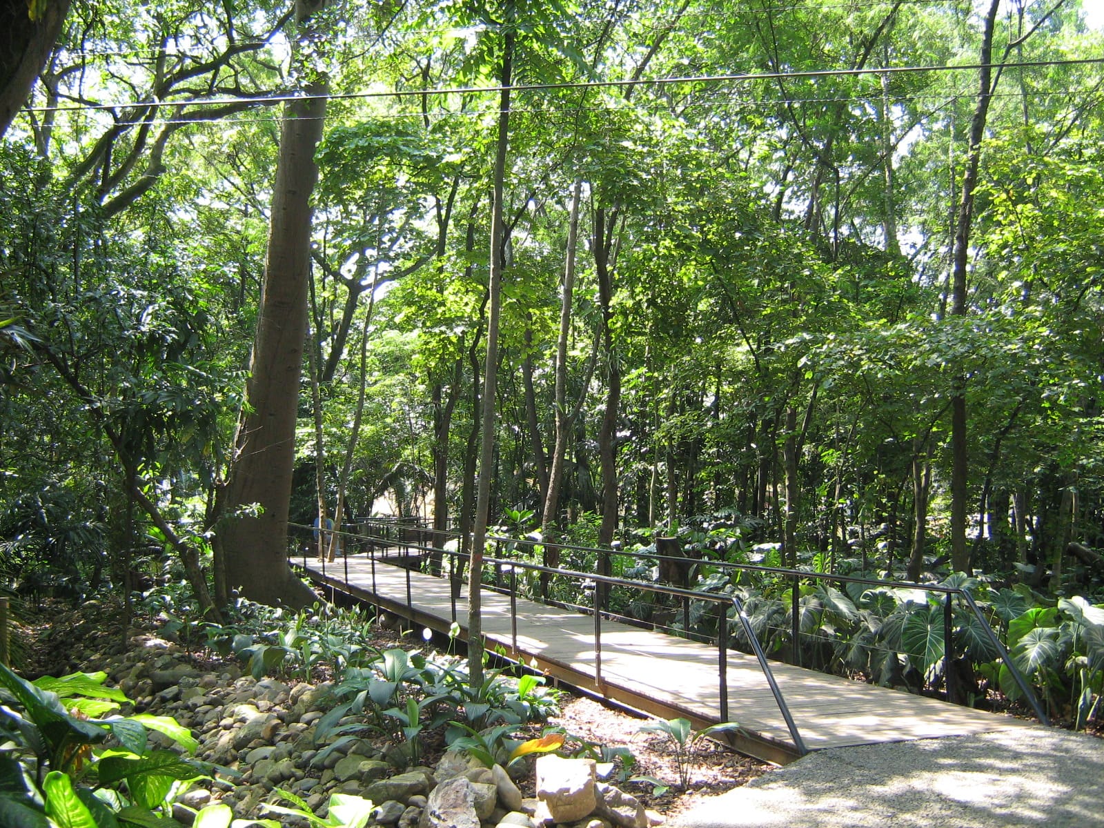 Jardín Botánico de Medellín - Turismo en Antioquia