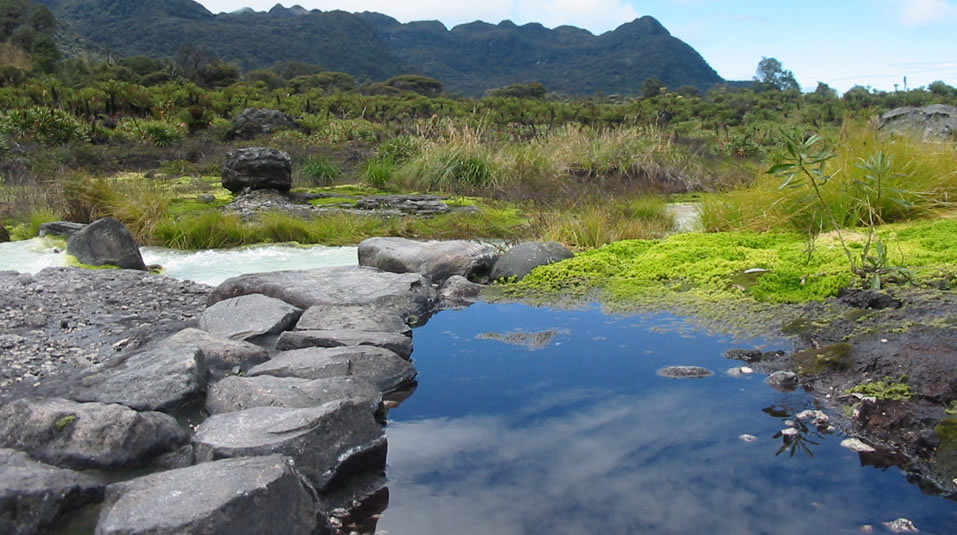 Parque Nacional Natural de Puracé