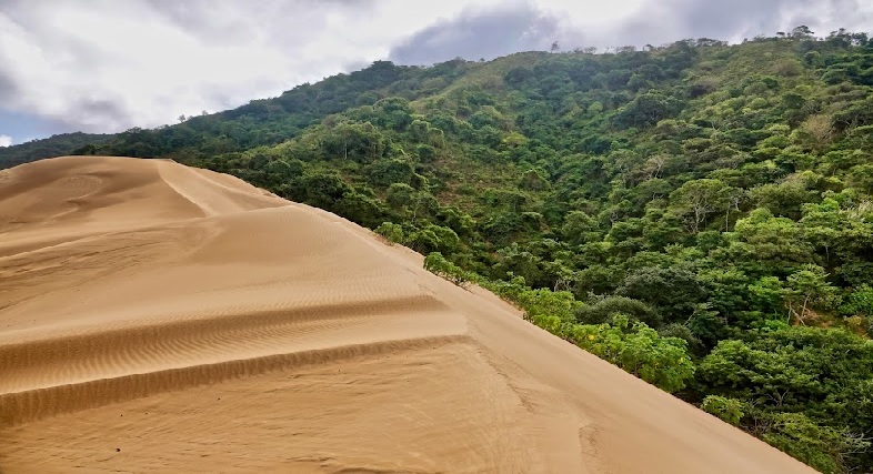 Parque Natural Nacional Macuira - Fonseca