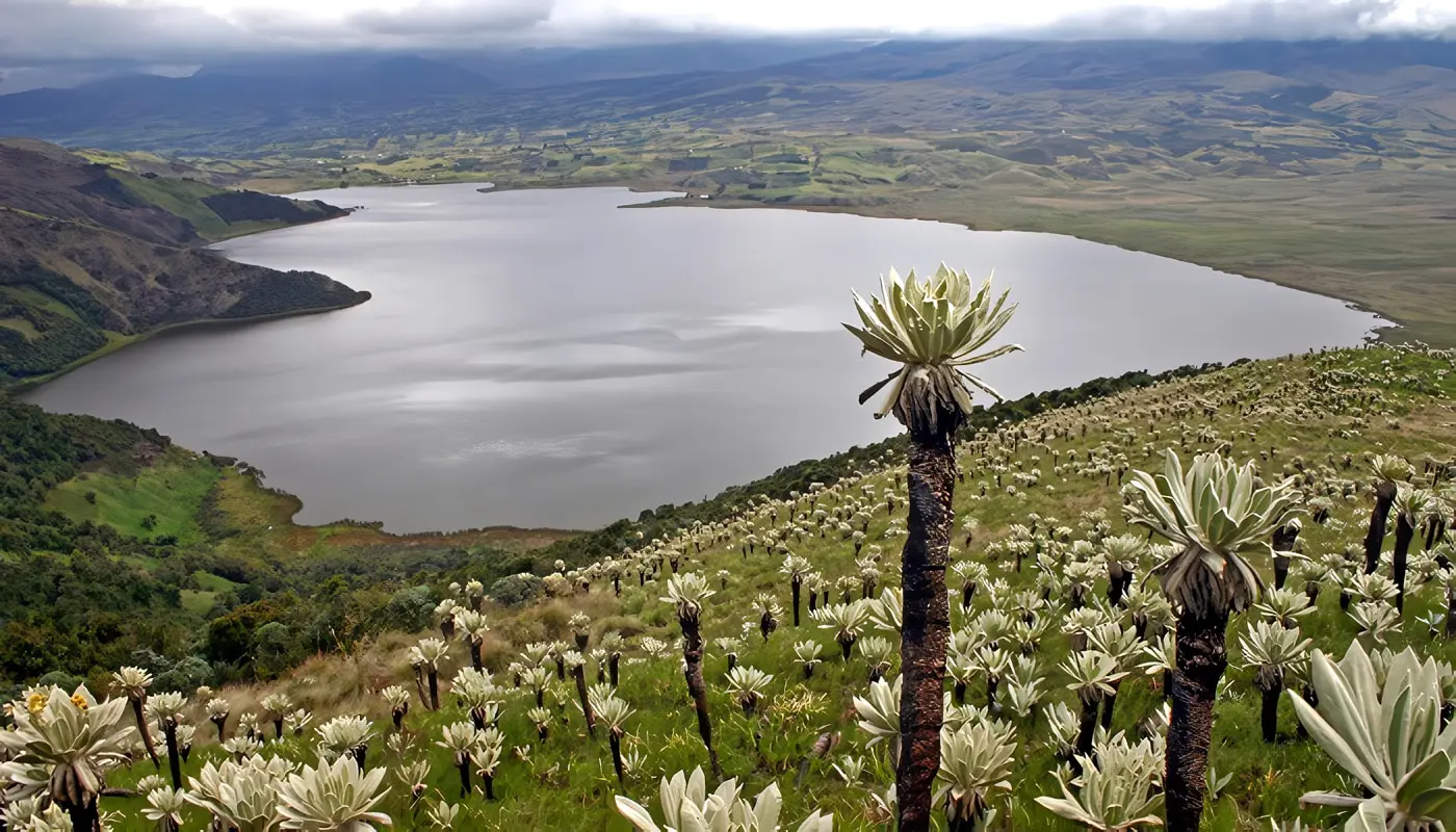 Santuario de Fauna y Flora Galeras