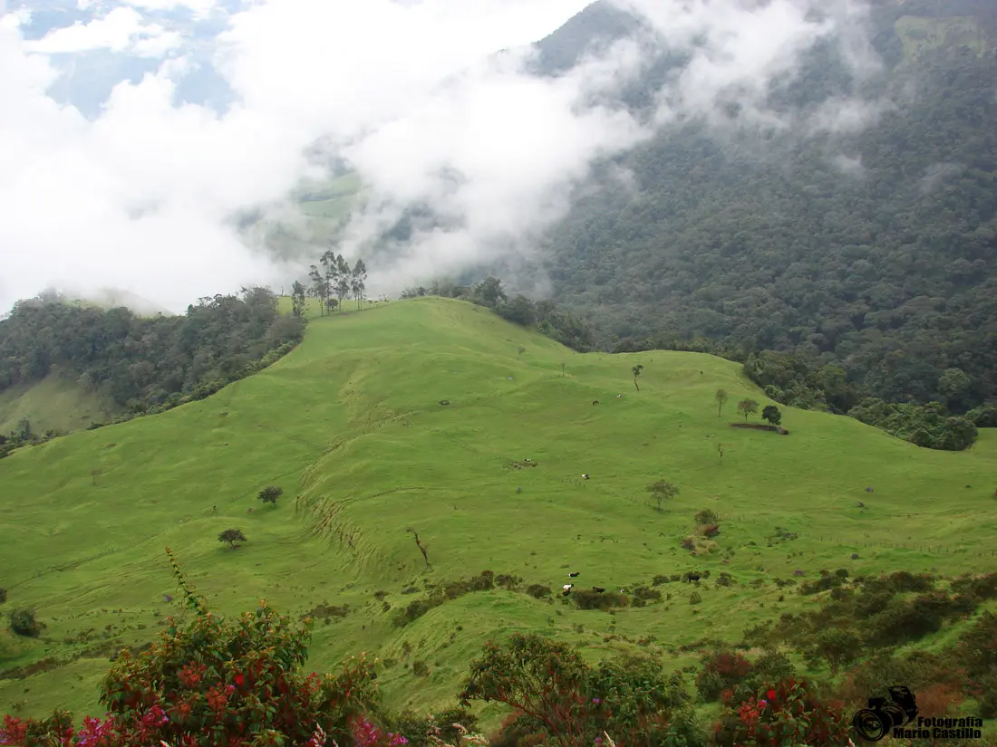 Santuario de Fauna y Flora Galeras