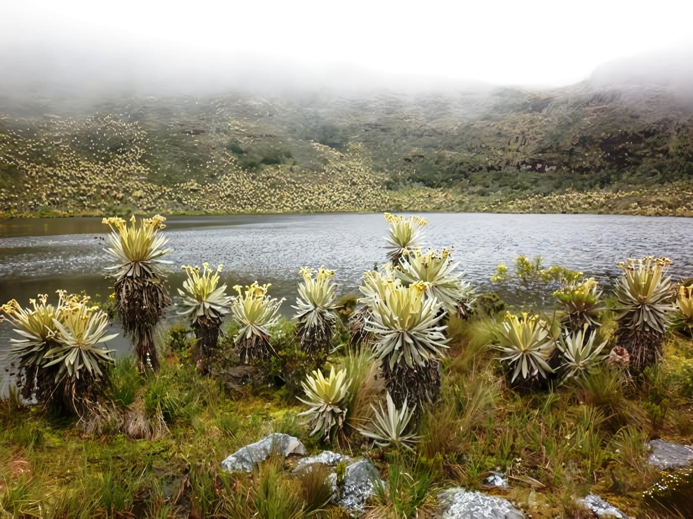 Turismo en el Santuario de Iguaque – Boyacá