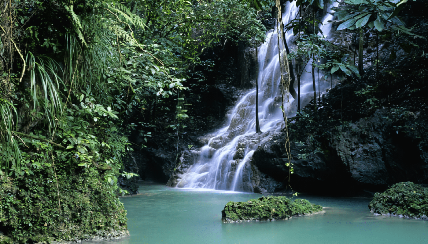 Cascadas en Port Antonio - Caribe