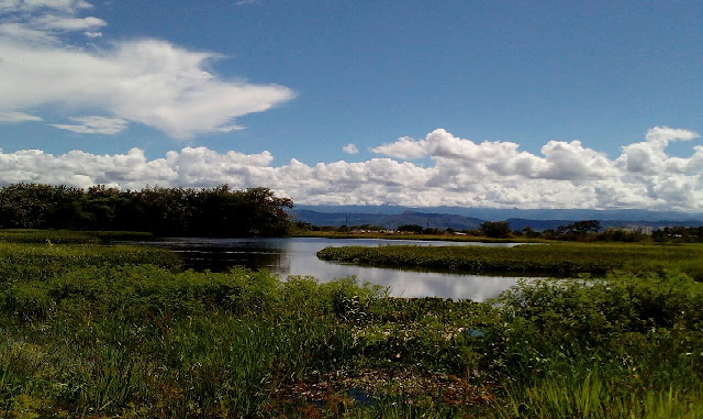 Jardín Botánico - Neiva