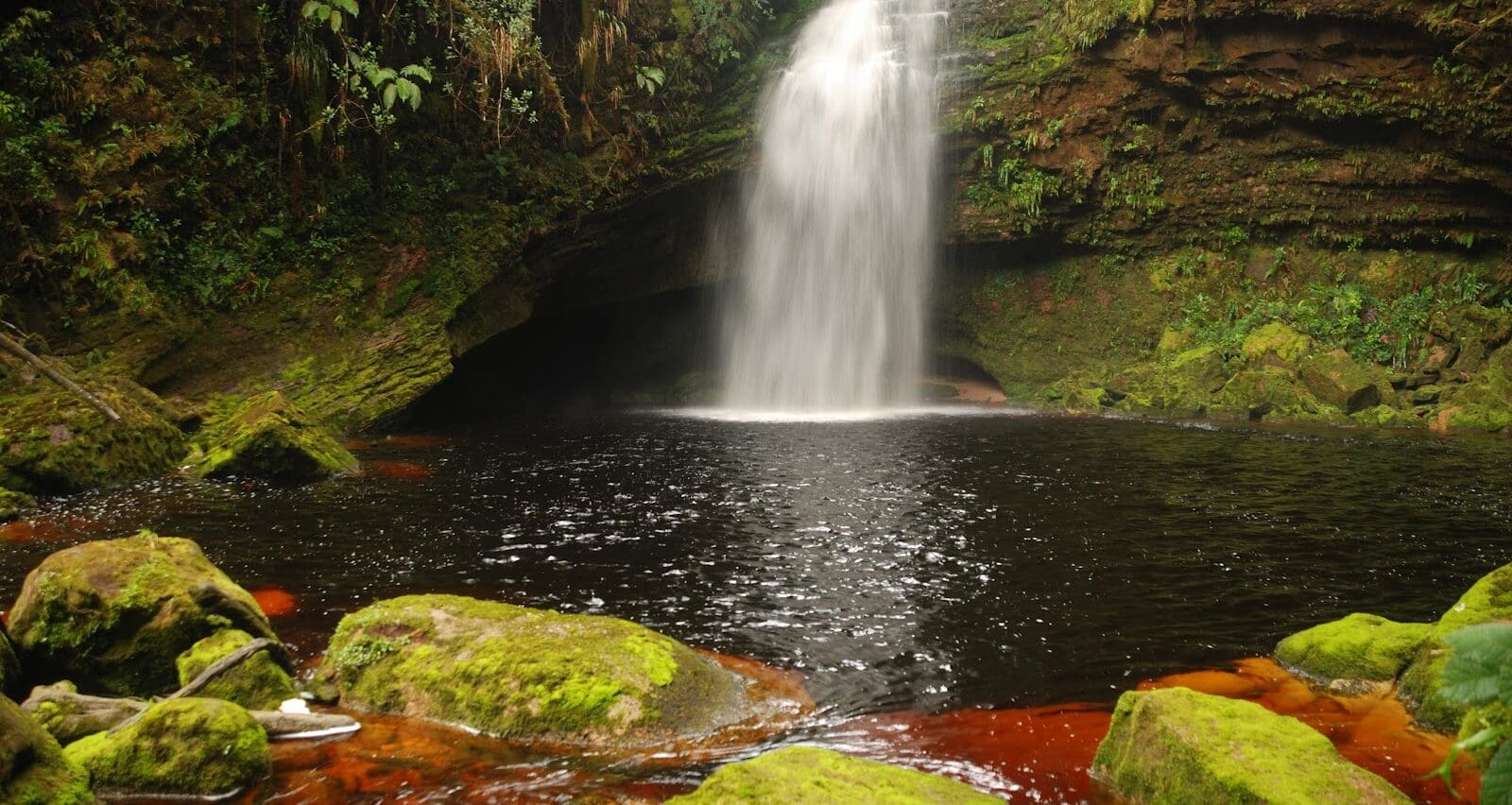 Cueva los Guacharos - Huila