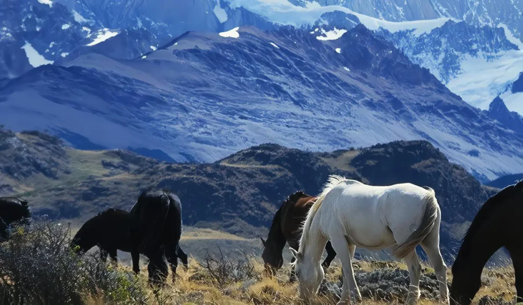Turismo en La Pampa – Argentina