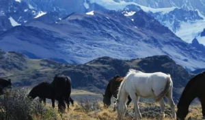 La Pampa, Argentina