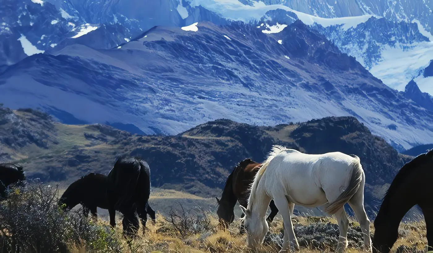 Turismo en La Pampa – Argentina