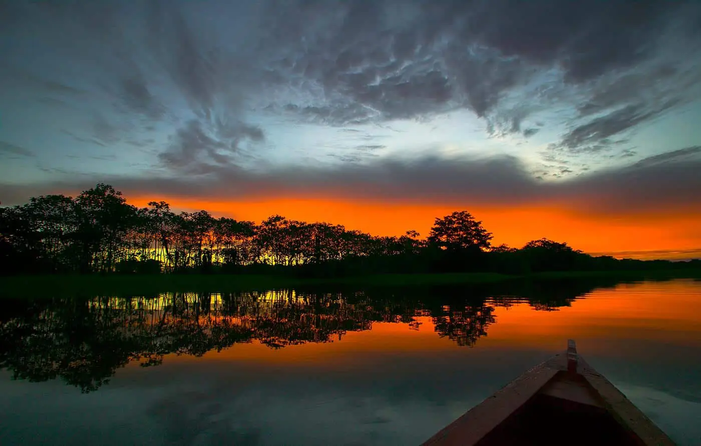 Amazonas Internacional