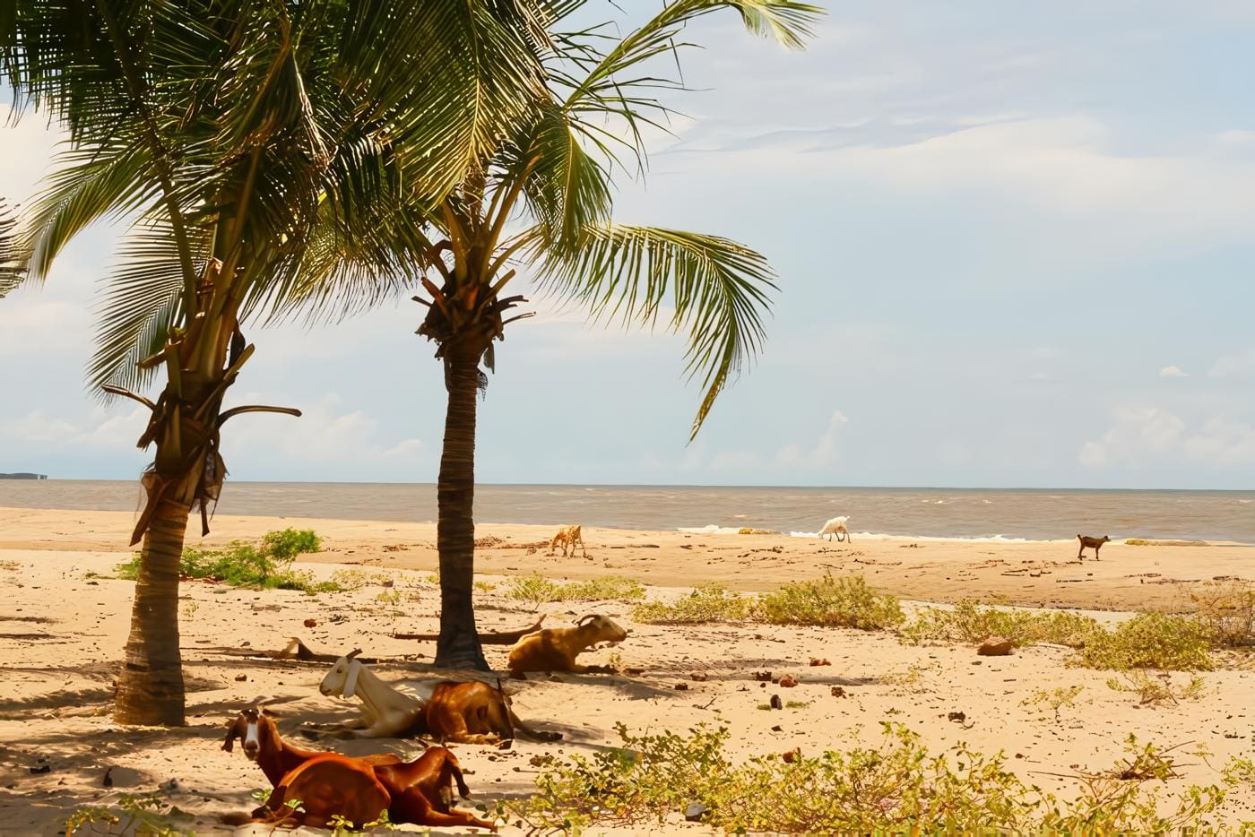 La Antigua Capital de la Guajira