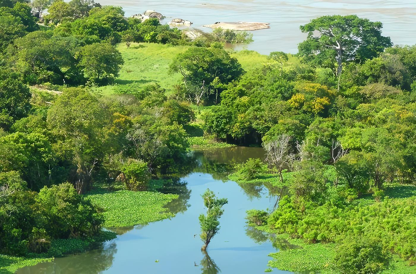 Selva Adentro-Amazonas