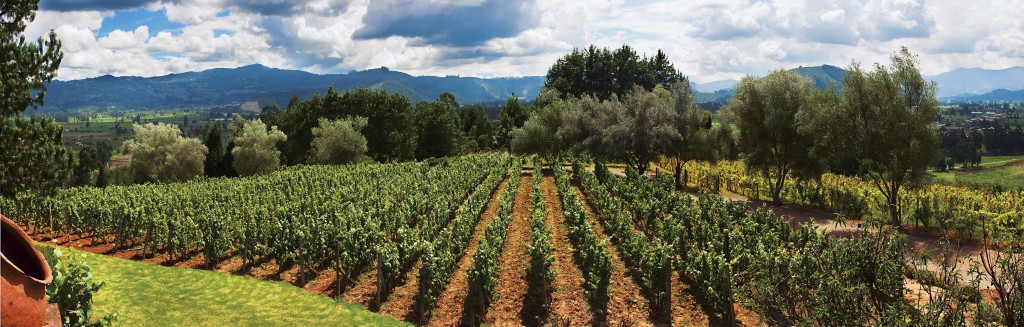 Vinos del Marqués en Nobsa