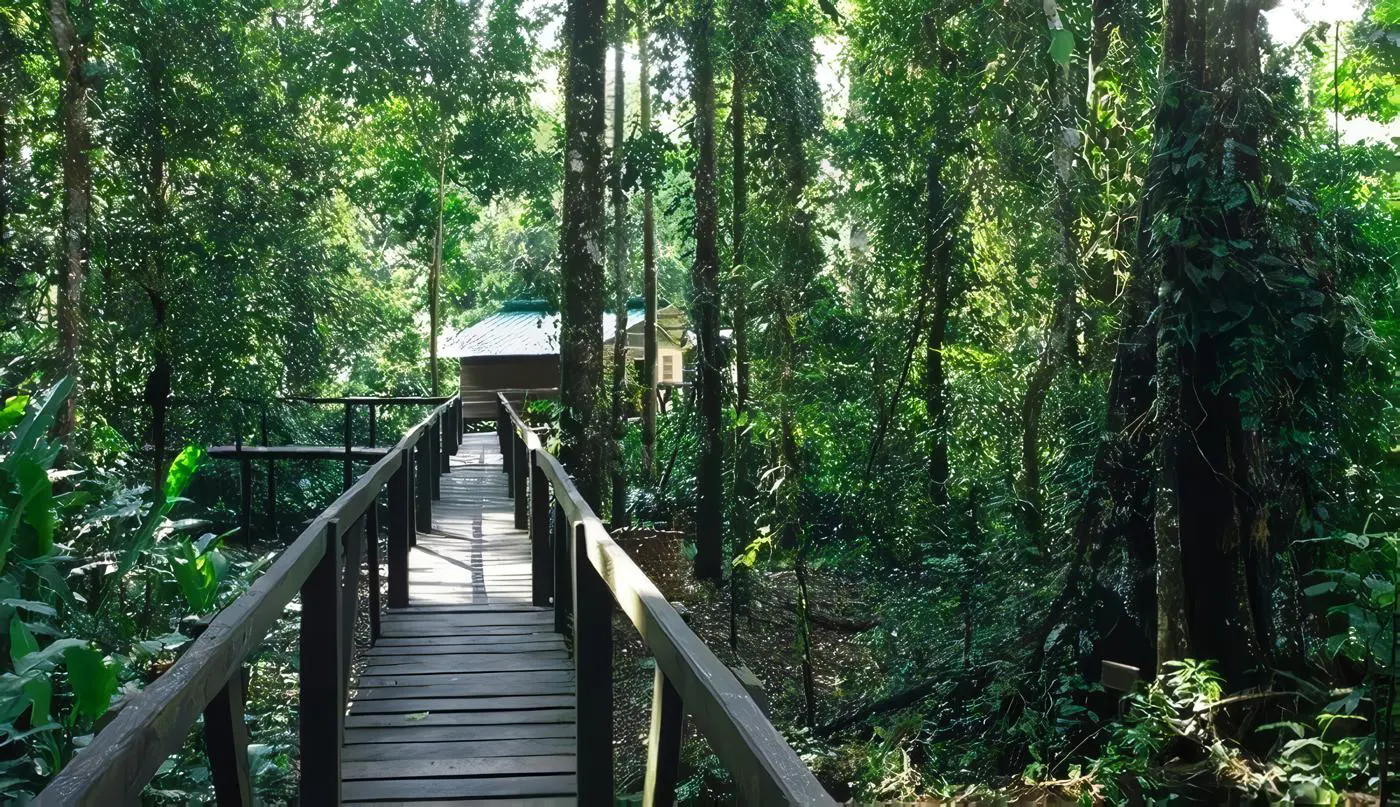 Turismo en Isla de los Micos