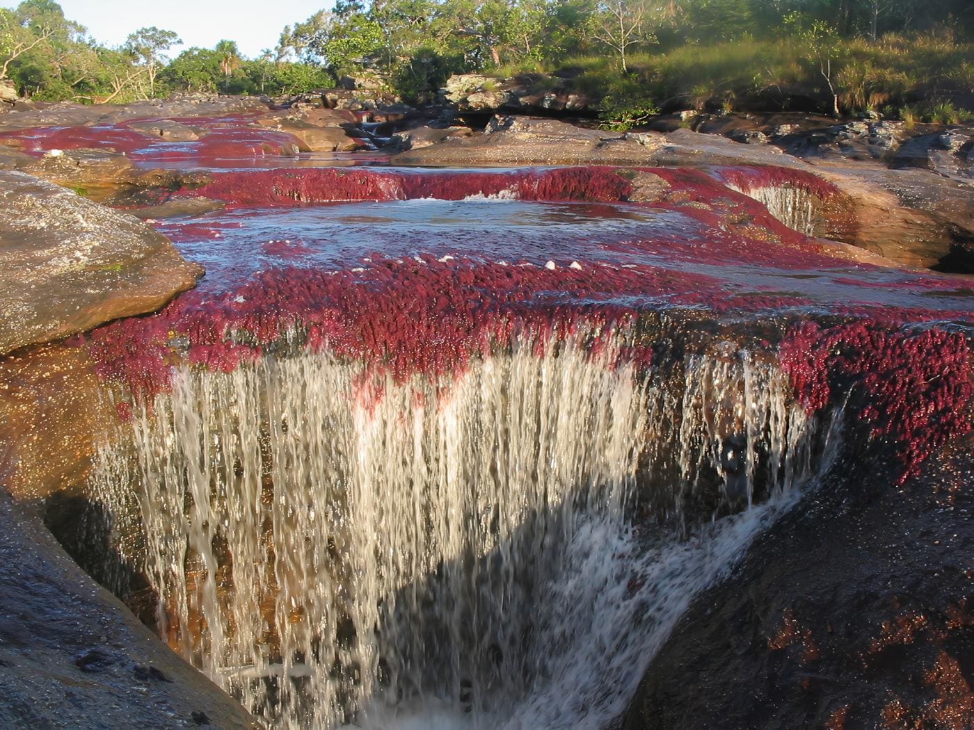 Turismo en Caño Cristales