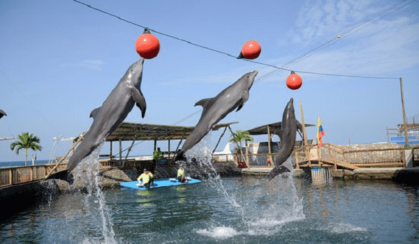 Acuario y Museo del Mar Santa Marta