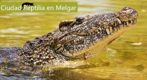 turismo en Melgar