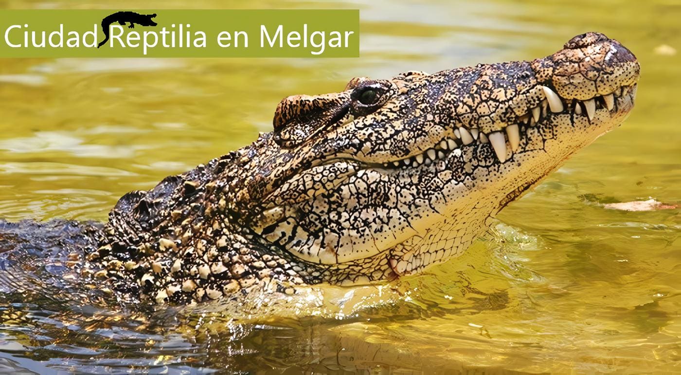 turismo en Melgar