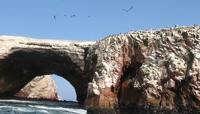 Islas Ballestas en Paracas Perú