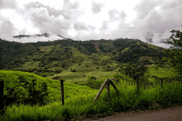 Zona cafetera en Colombia