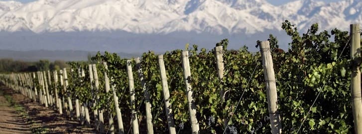 Ciudad del Vino, Mendoza