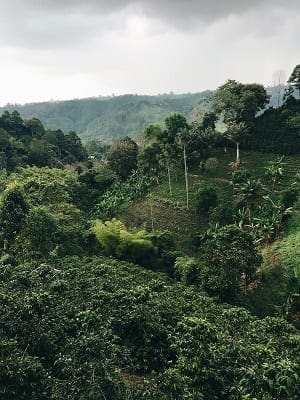 Travesia en Ciudad Perdida