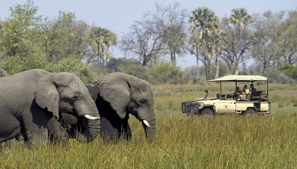 Los Mejores Lugares del Mundo para Irte de Safari