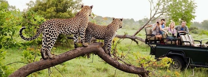 Parque Nacional Kruger en Sudáfrica