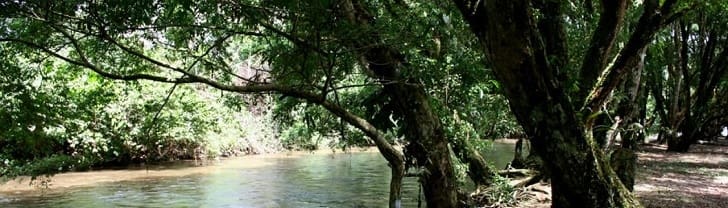 Santuario de Flora Plantas Medicinales Orito Ingi – Ande