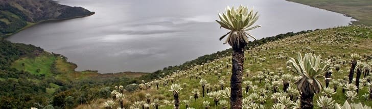 Santuario de Flora y Fauna Galeras