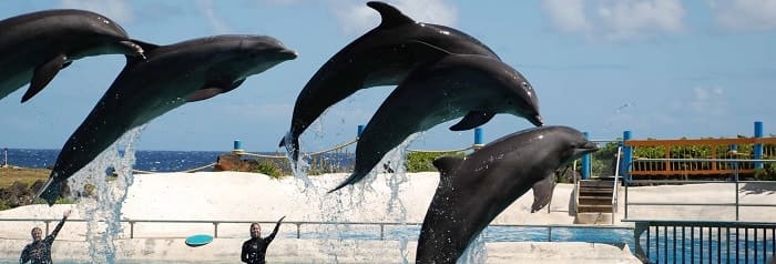 Parques en Punta Cana