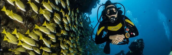 Buceo en Santuario de Flora y Fauna Malpelo