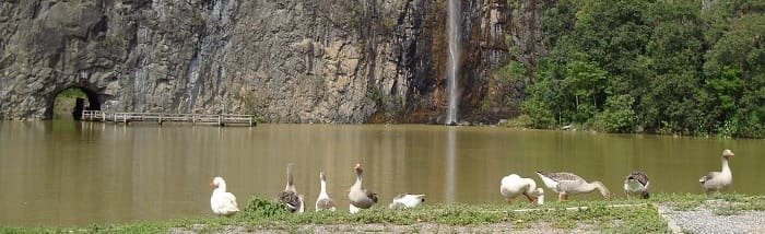 Parque Tanguá en Curitiba