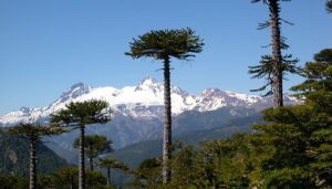 Turismo en Biobío