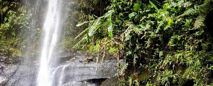 Catarata de Ahuashiyacu