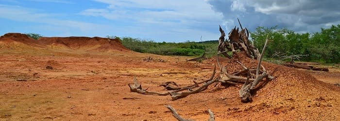 Parque Nacional Sarigua