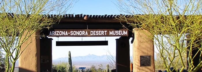 Arizona-Sonora Desert Museum