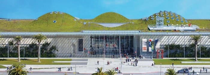 California Academy of Sciences