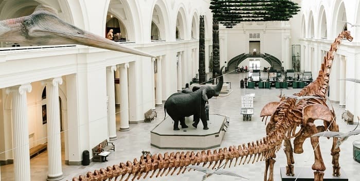 Field Museum of Natural History, en Chicago