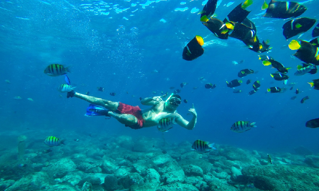 Hoteles en Santa Marta - snorkeling