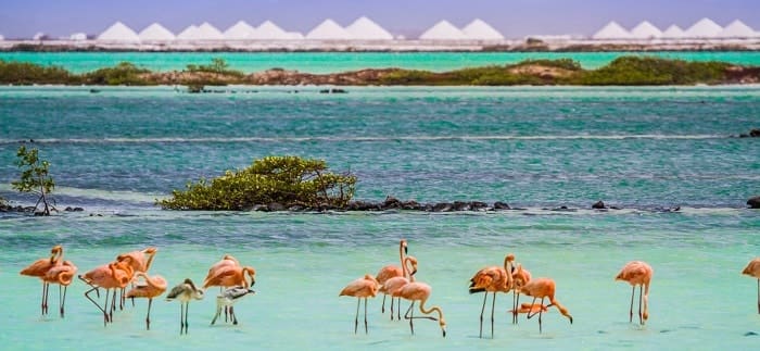 Bonaire en el caribe