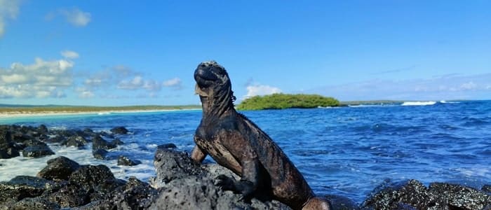 La Isla de Santa Cruz, destinos en Ecuador