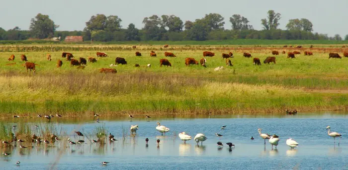 La Pampa, mejores destinos turísticos en Argentina